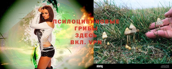 мдма Вязники