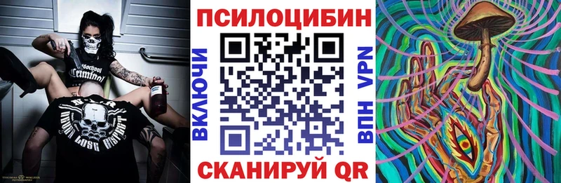 Псилоцибиновые грибы Psilocybe  Купить где  Сегежа 